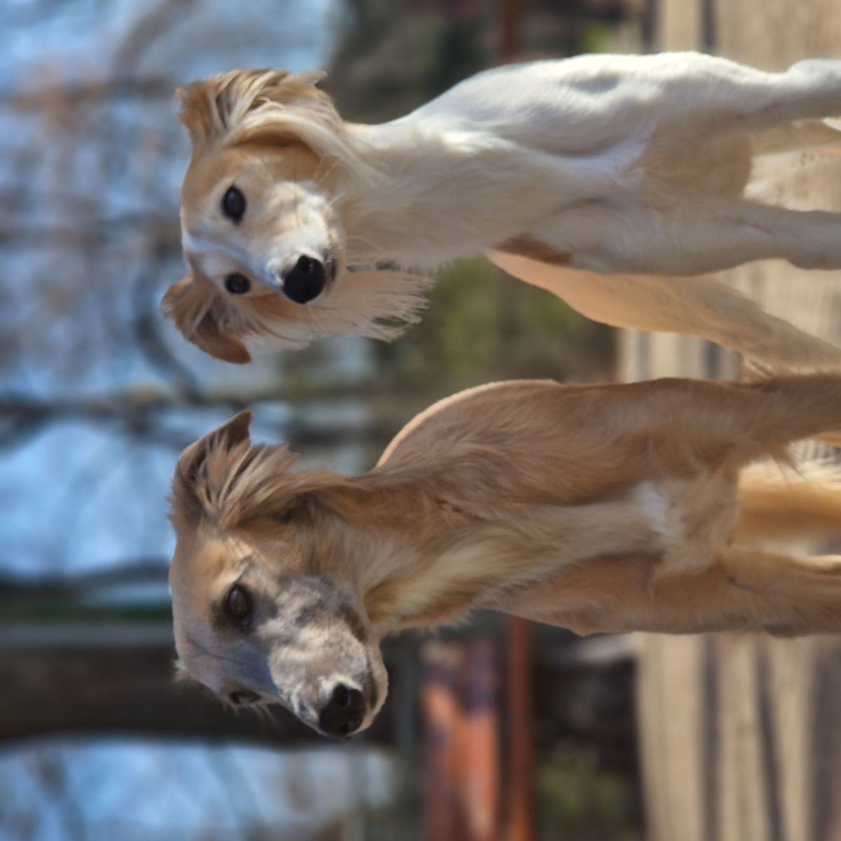 am Strand in der Bretagne
